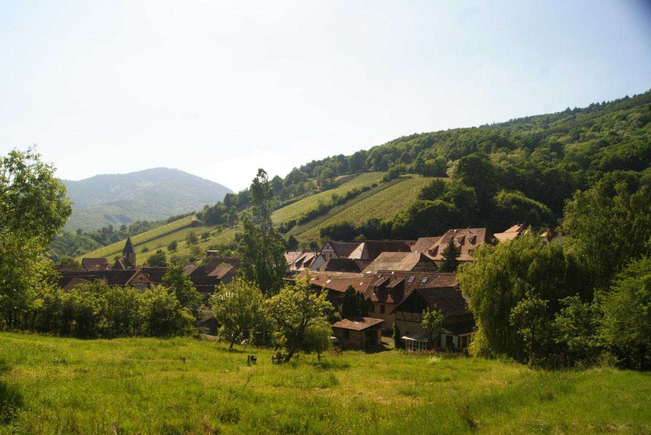 Gite Du Thalala Villa Bernardville Exterior photo